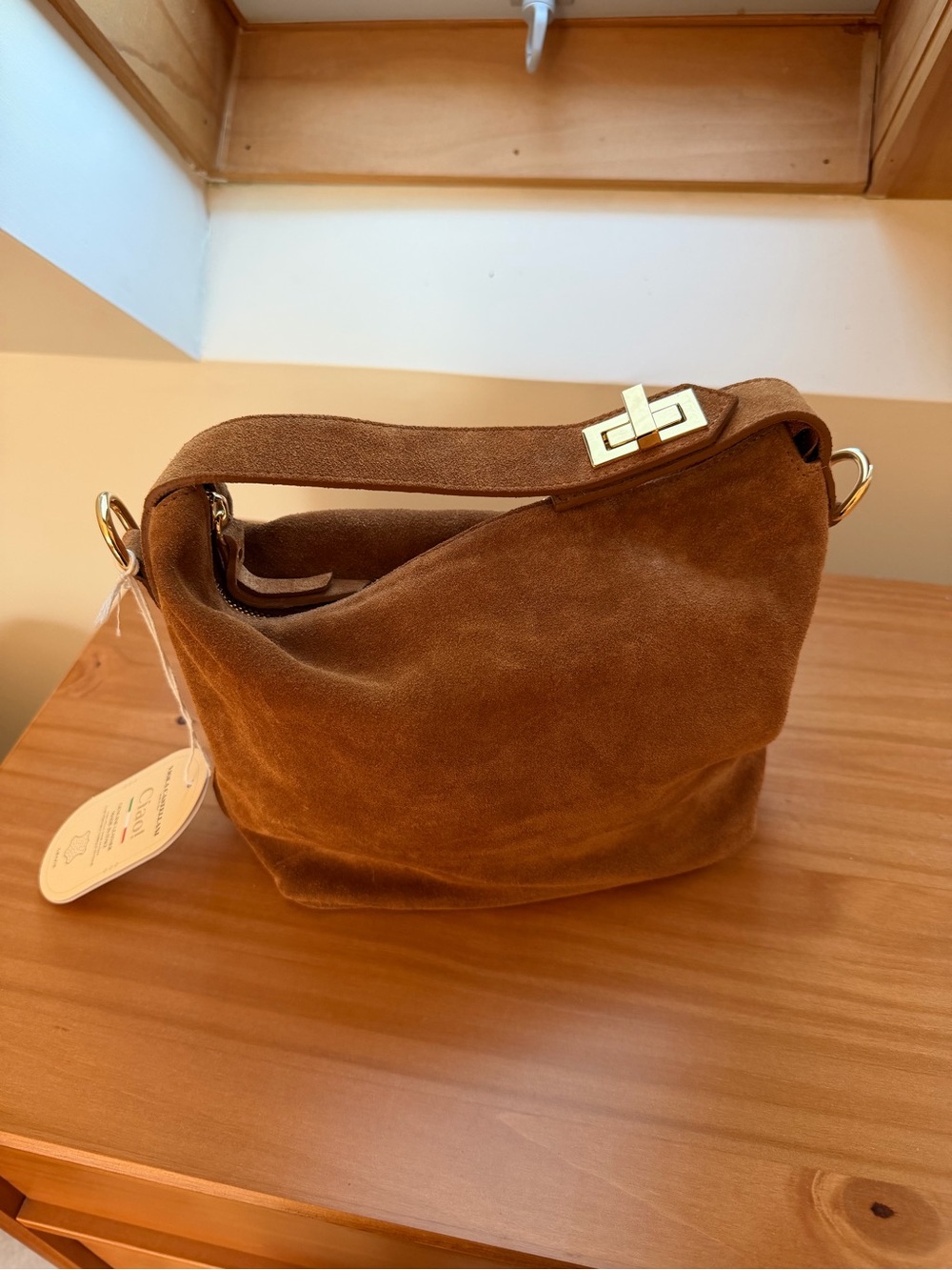 Suede Hand Bag in Chestnut Brown with Gold Hardware